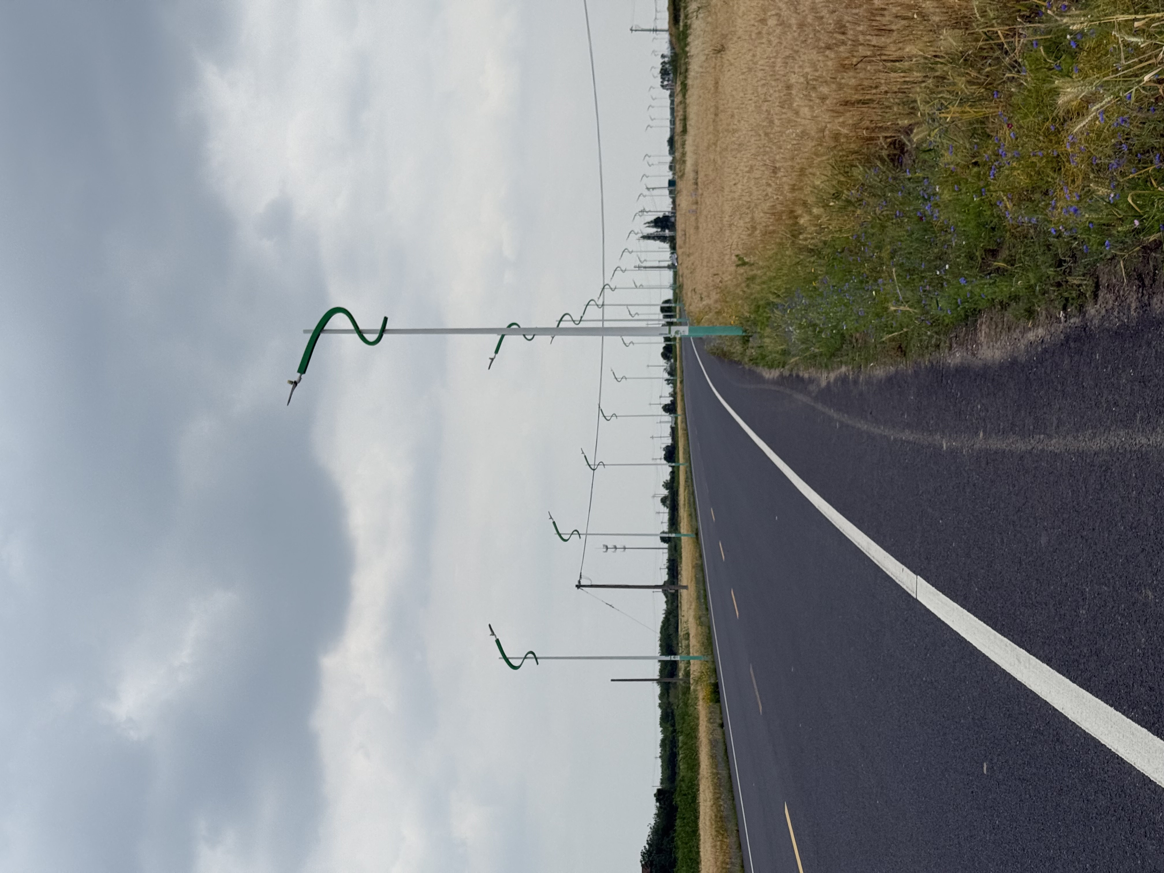 |346x260